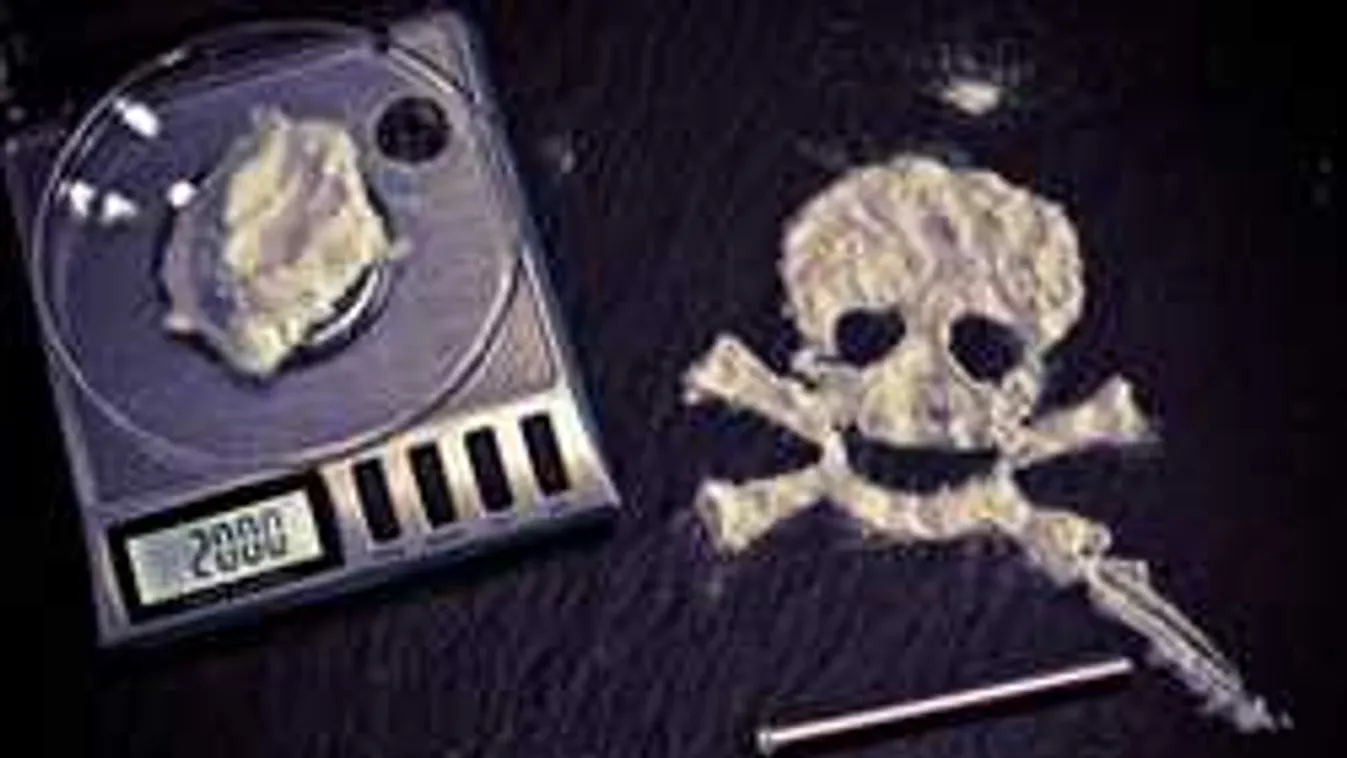 Így találta meg a kutya az elrejtett kokaint - Videó