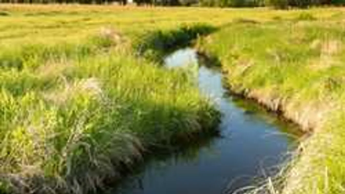 Drámai részletek a Máriabesnyőnél magára hagyott csecsemő ügyében