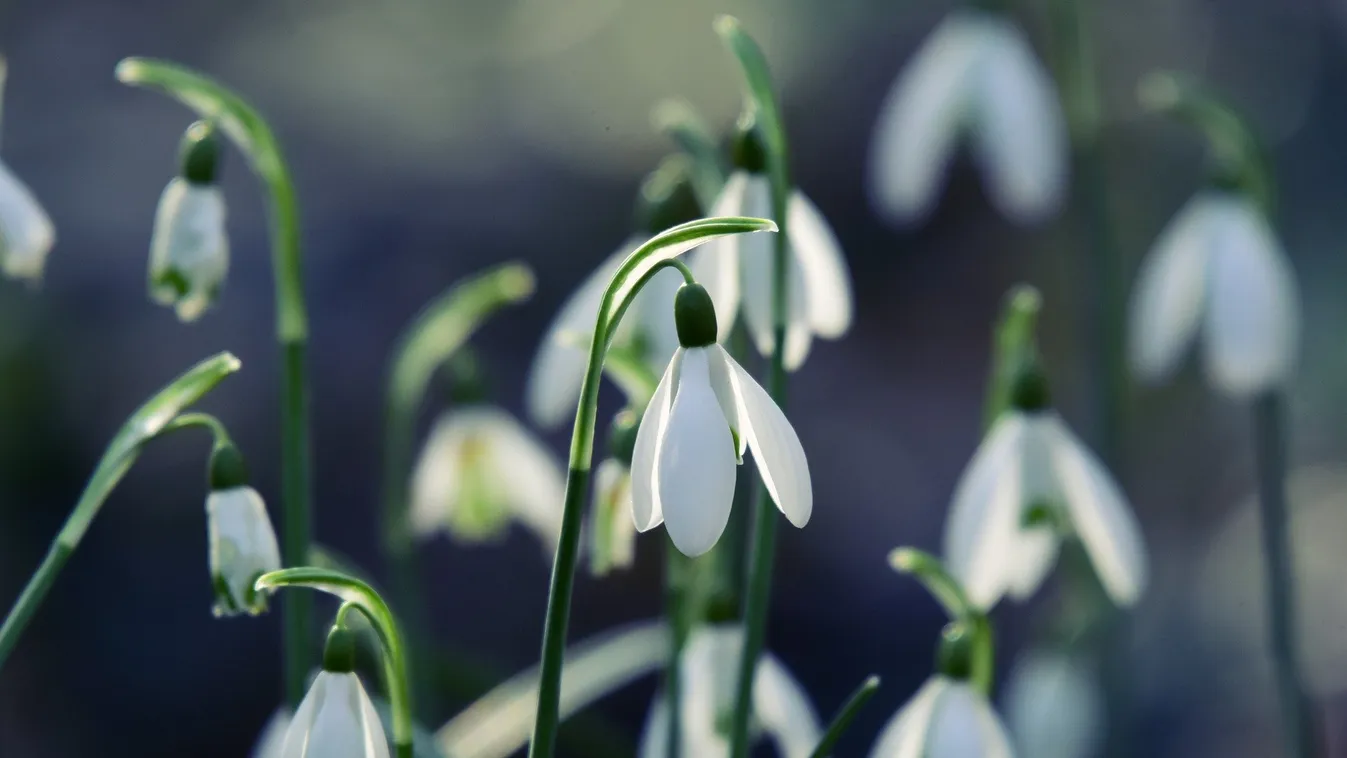 Élvezzük ki az enyhe időt, mert durva, ami jönni fog