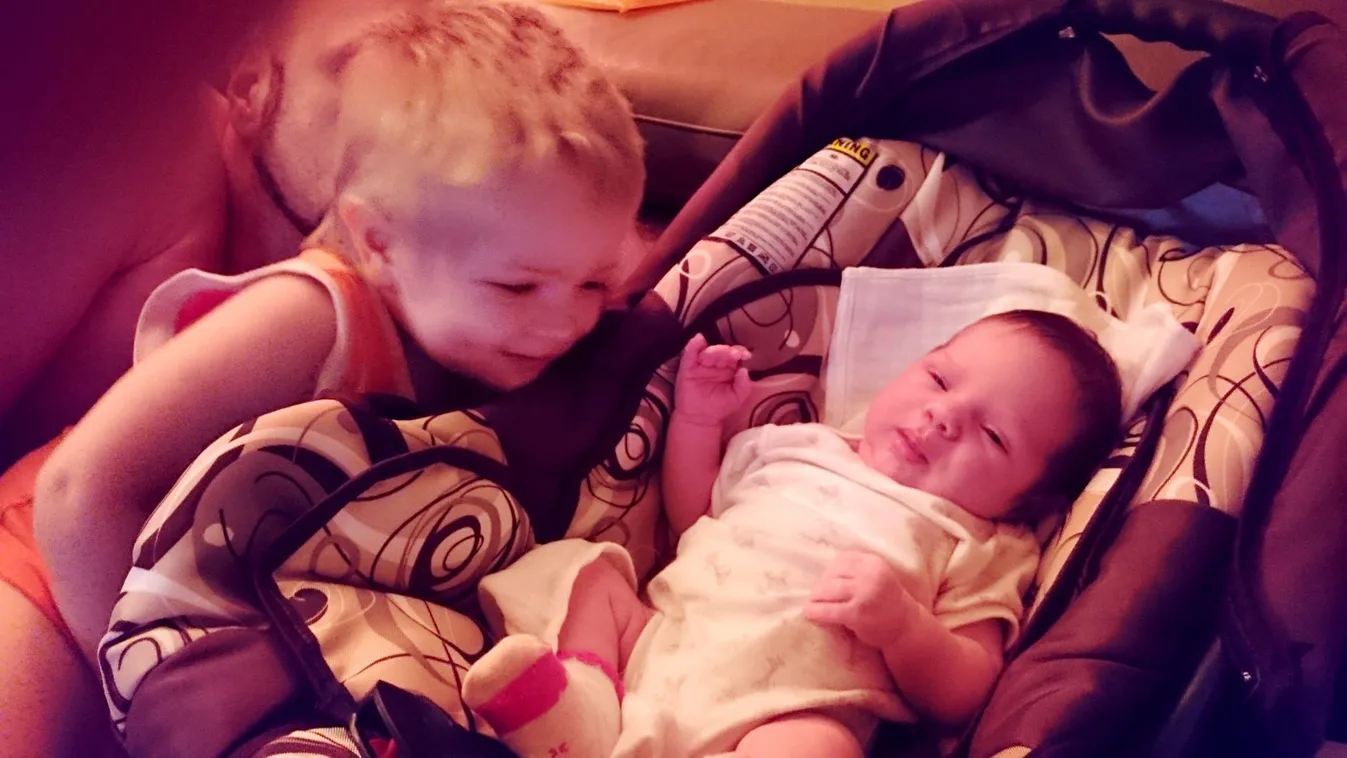 Novák Katalin: Ismét jó hírekkel indult a nap