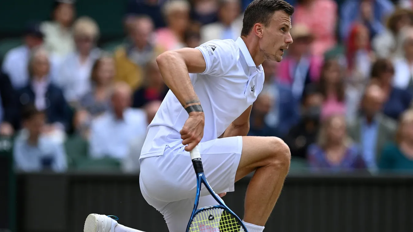 Elmaradt a csoda, Fucsovics befejezte a wimbledoni teniszt