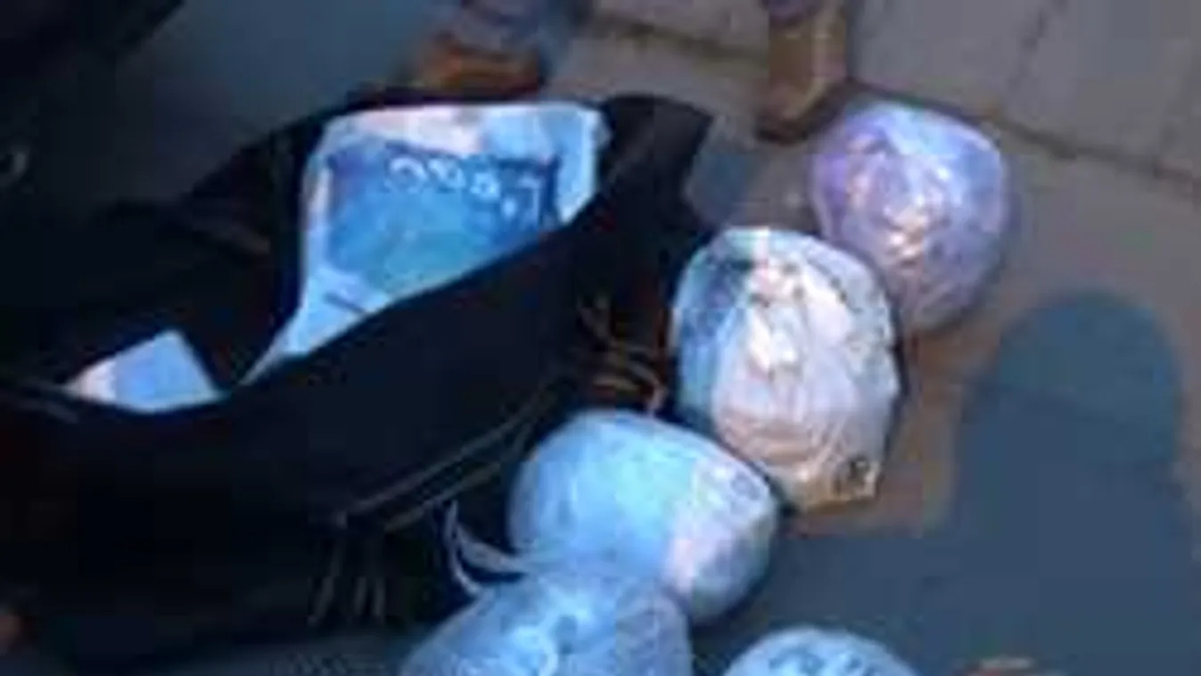 Berontottak a rendőrök a budapesti lakásba, elképesztő, mit találtak