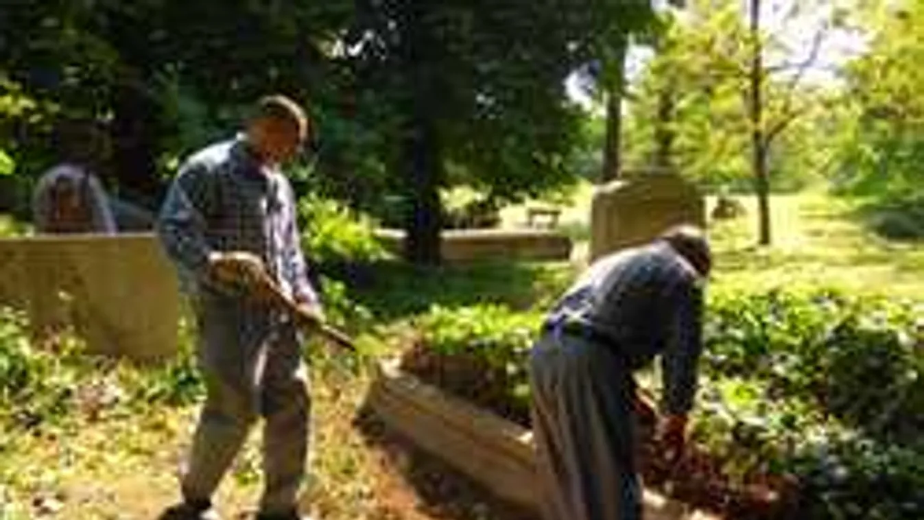 Meglepődtek a járókelők, több rab is az utcán bukkant fel Kecskeméten
