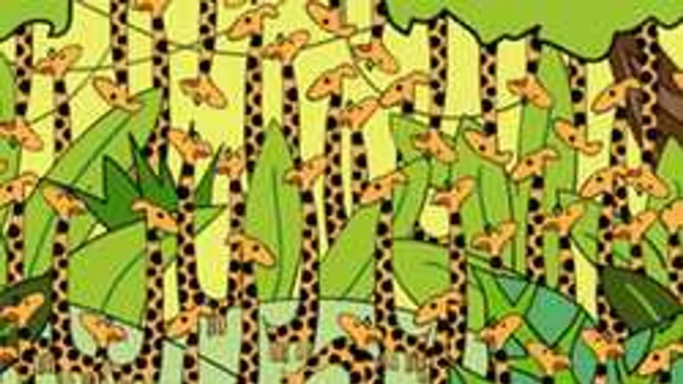 Az emberek 91%-a feladja ezt a rejtvényt, te meg tudod oldani?