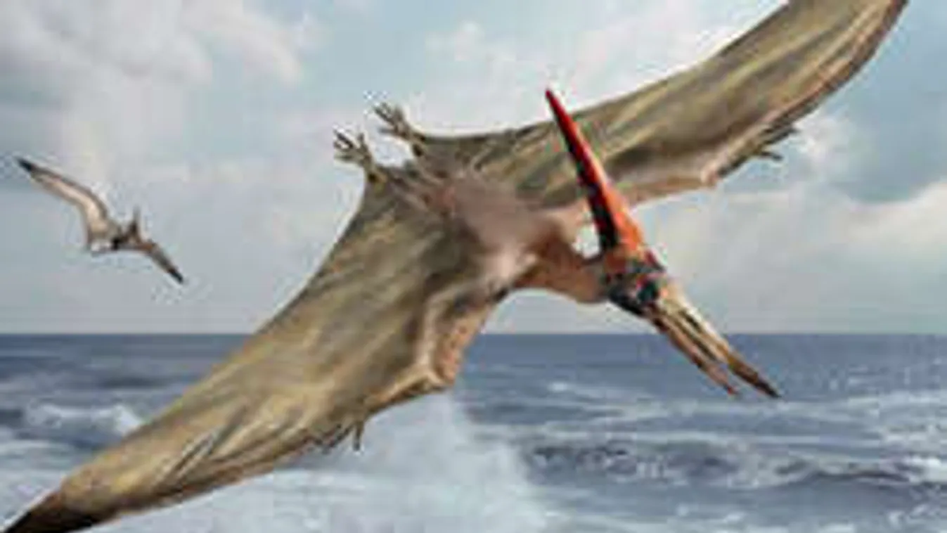 Kihaltank hitt repülő őshüllő videója hergeli az internetezőket!