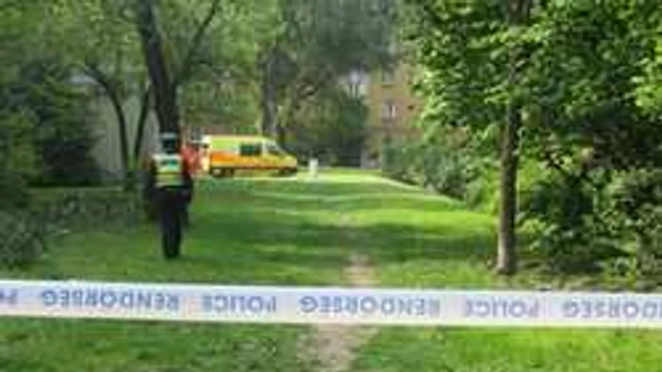 Félelem és rettegés Tatabányán, két embert öltek meg egy nap alatt!