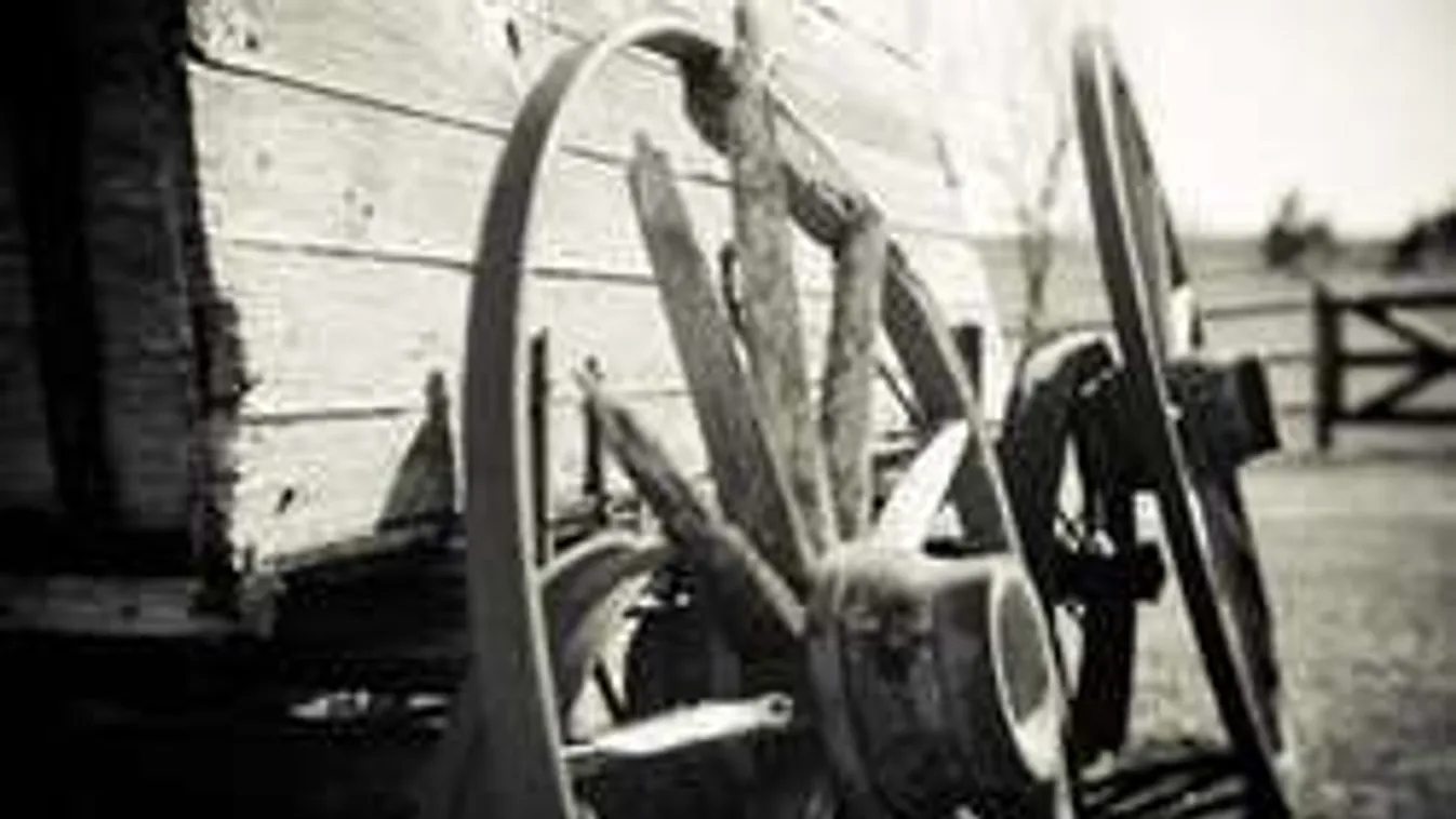 Kocsit tolnak Kocson - különleges fesztivált tartanak a szekerek szülővárosában