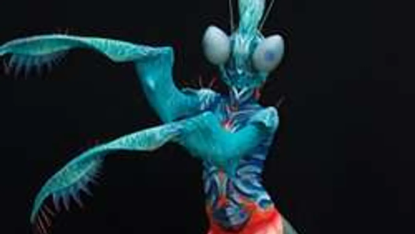 Világsikert értek el a magyar testfestők a világ egyik legnagyobb versenyén