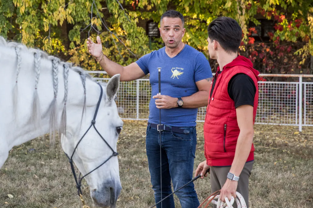 20191024_Tenya_Lovakkalsuttogo_MG_021