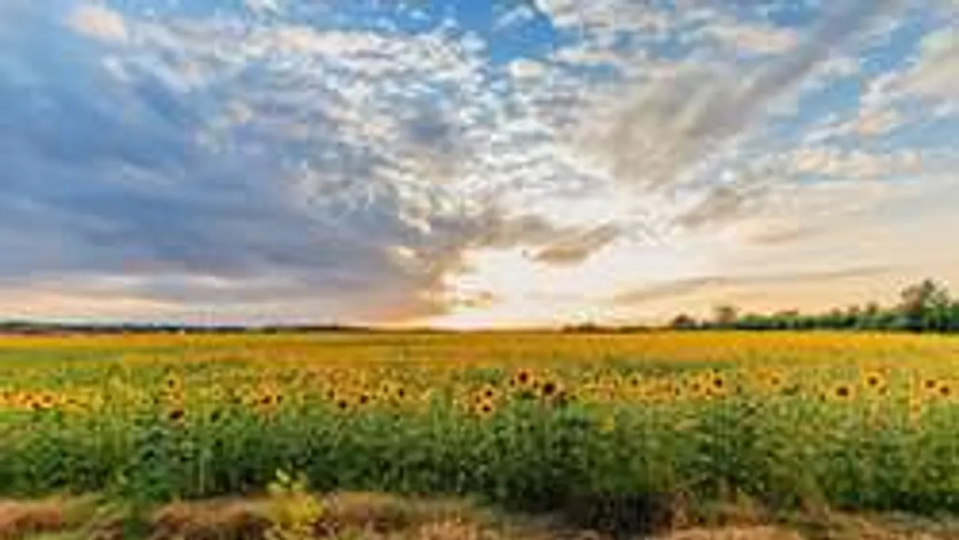 Rendkívüli időjárást ígérnek szeptemberre! Erre senki sem számított