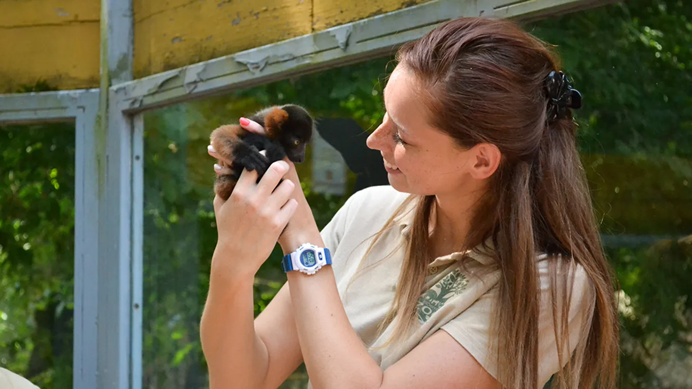 Megválasztották a legjobb állatkerti asszisztenseket