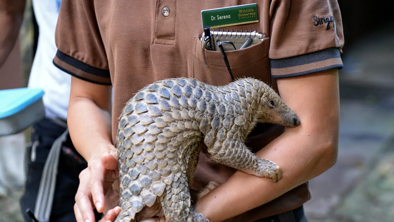 Megvan, honnan indult el a járvány!