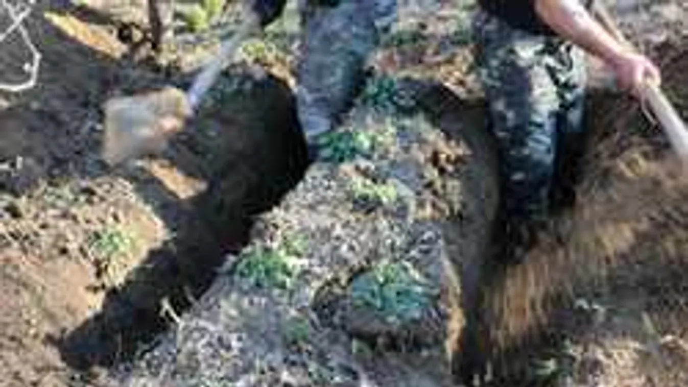 Megdöbbentő részletek: halott anyja nyugdíjából élt az öreglaki nő