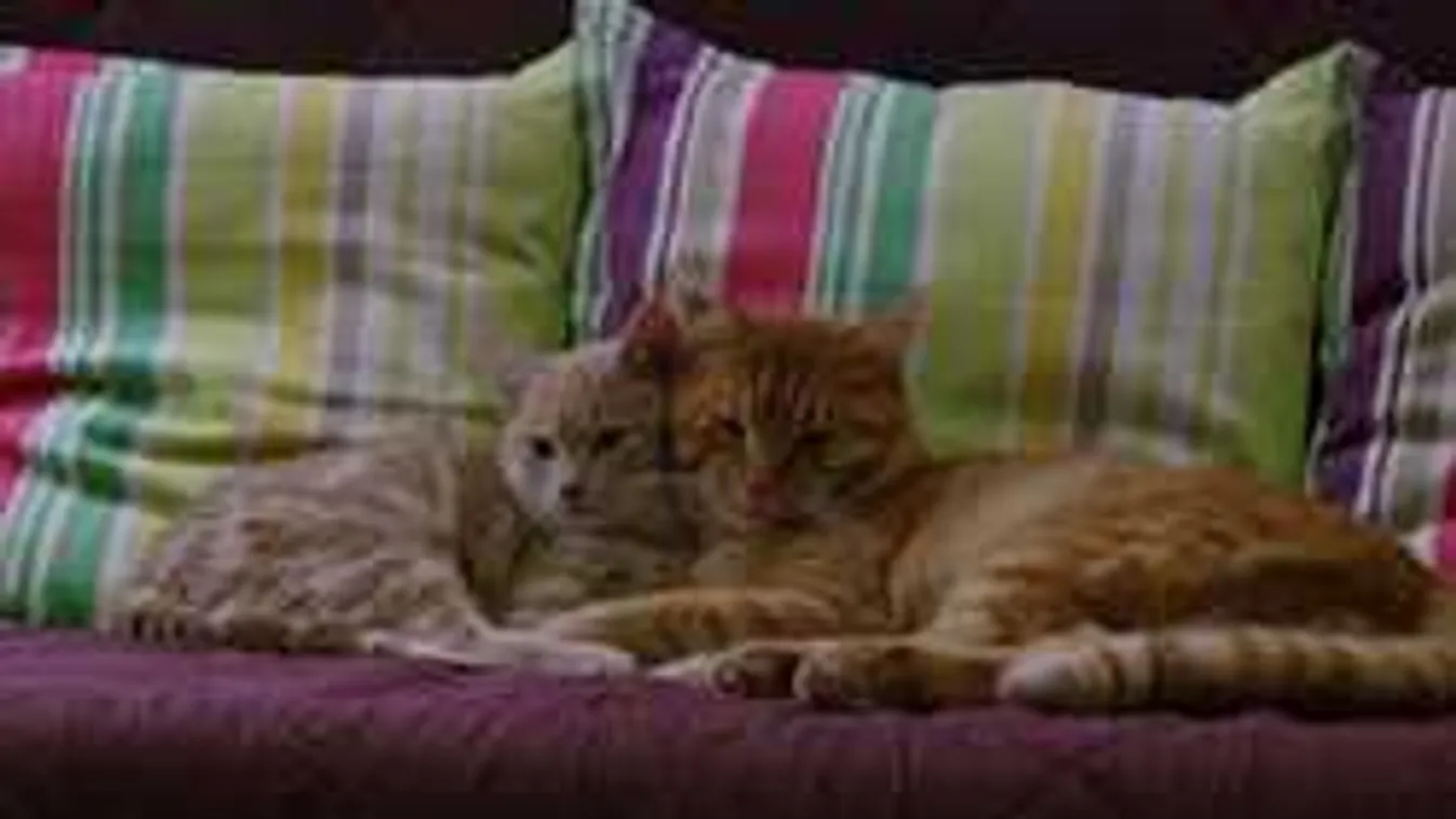 Nem sokáig tart már a nyár, ekkor keményít be az időjárás