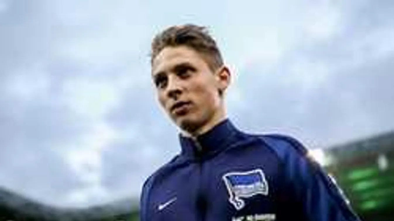 Dárdai elárulta, a kertjükben játszik Ibrahimovic