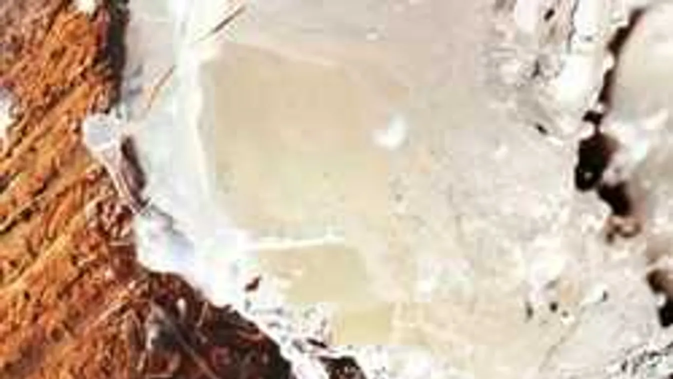 Kiderült, a kókusz tényleg lerobbantja rólunk a zsírt