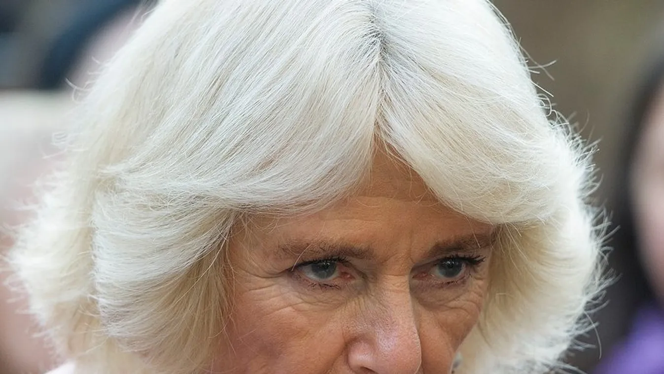 Royal visit to Swiss Cottage Farmers' Market