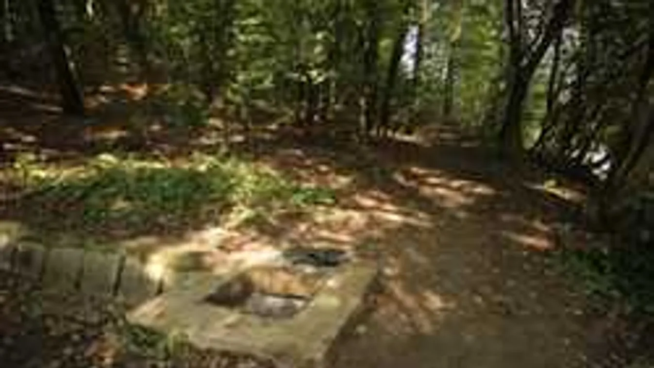 Titkos randin fojtották vízaknába a borsodnádasdi lányt