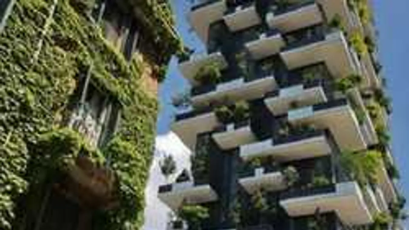 Csoda Milánóban: Hihetetlen, mi történt a belváros közepén