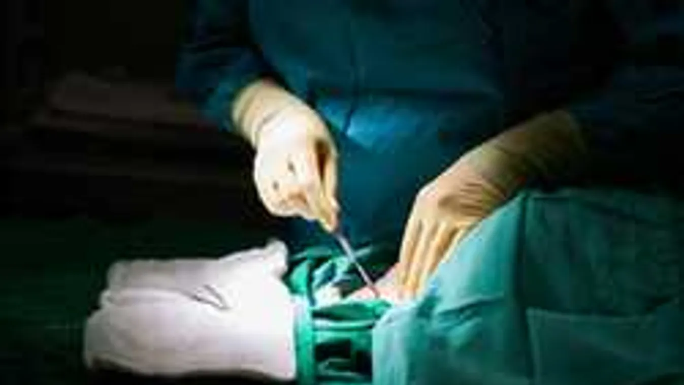 Újabb álorvos bukott le: 500 nőt torzított el örökre