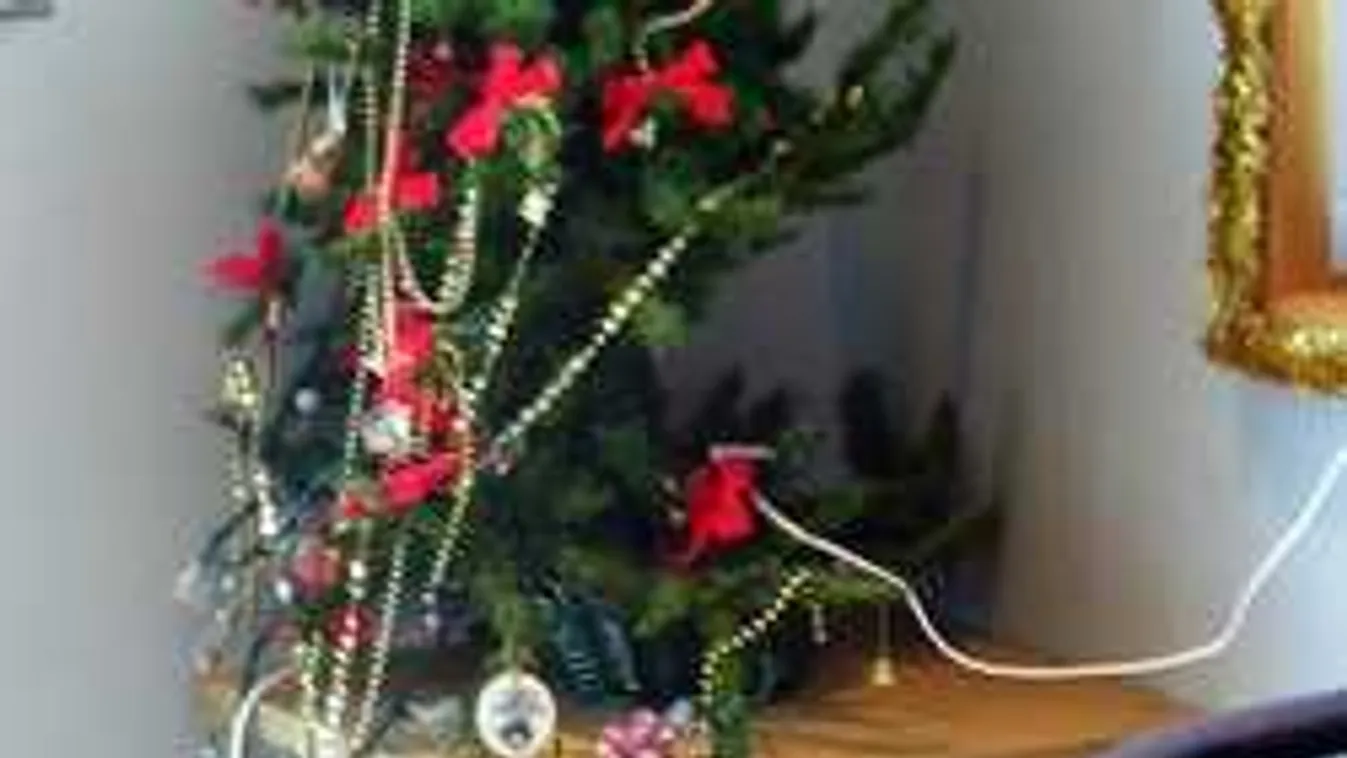 Ezek a világ legröhejesebb karácsonyfái! Ettől sokkot kapsz