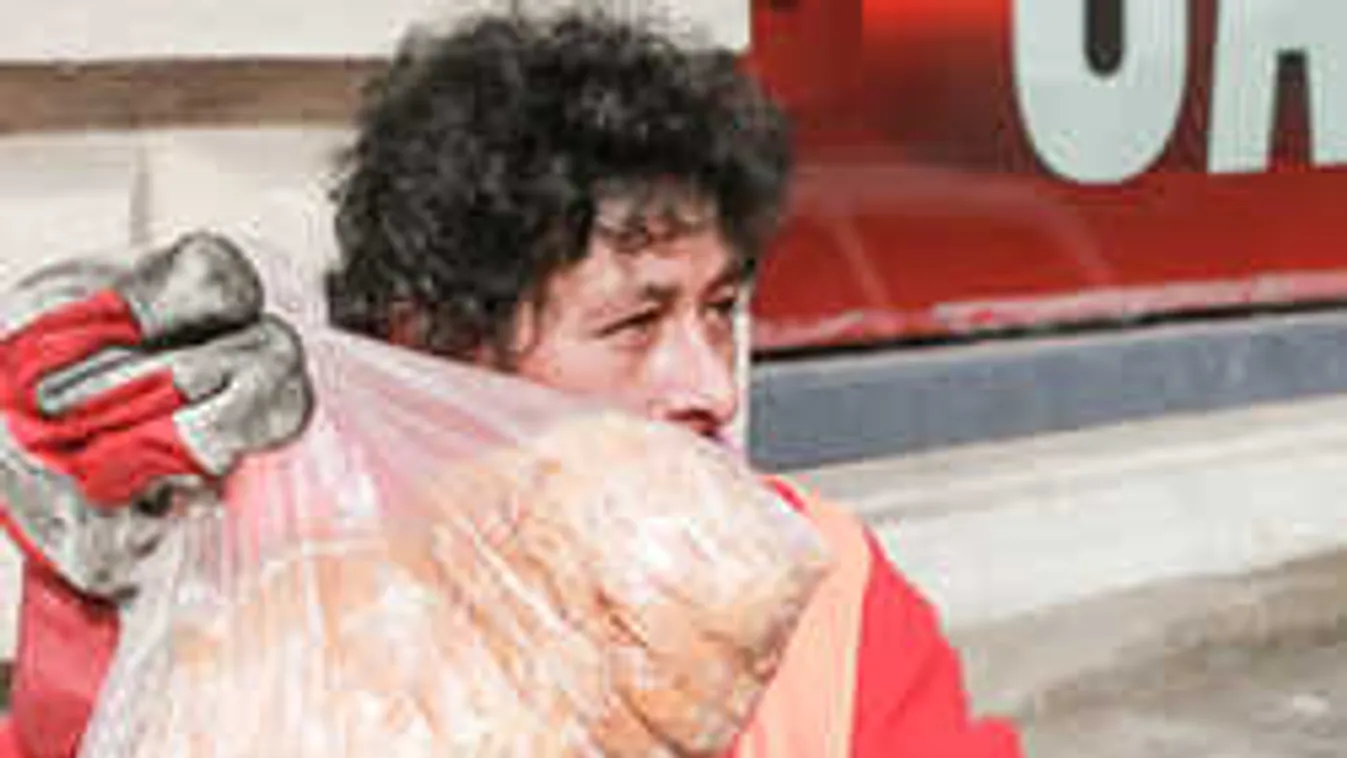 Brutális pazarlás, így mentsük meg az ételt