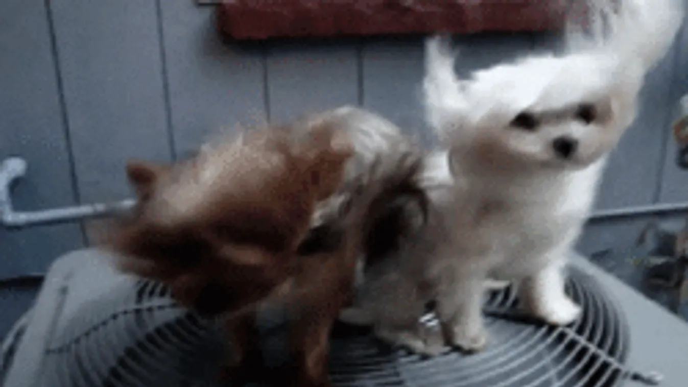 Nincs menekvés: dermesztő hideg és könyörtelen szél jön