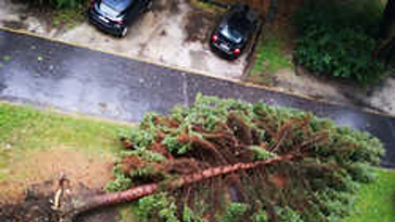 Elképesztő pusztítást végzett hazánkban a vihar, tart a mentés - fotók