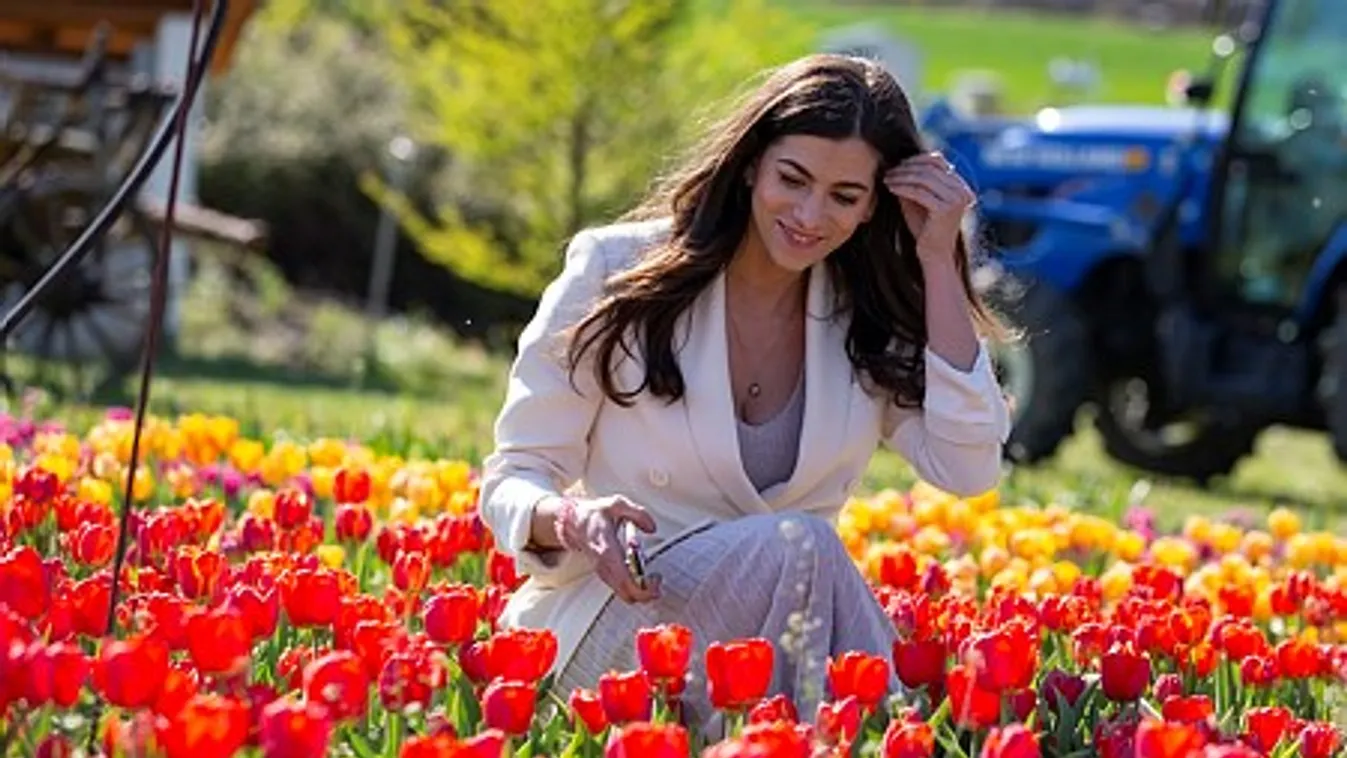 Segítő kezet nyújtott a dísznövényeseknek a kormány-videó