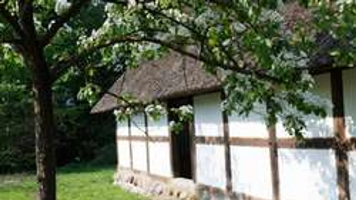 40 éve eltűnt nő csontvázát találták meg egy padláson