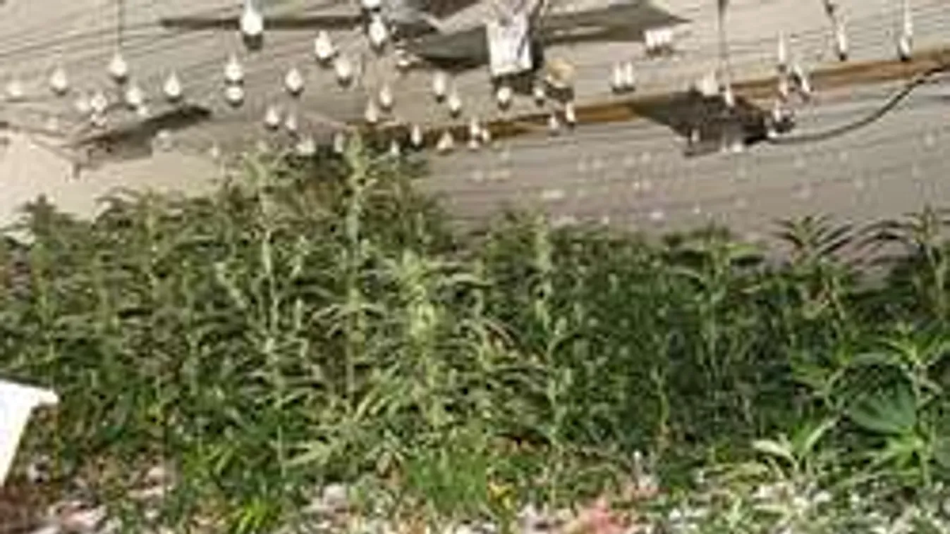 52 éves angol férfi árulta a drogot egy Heves megyei faluban