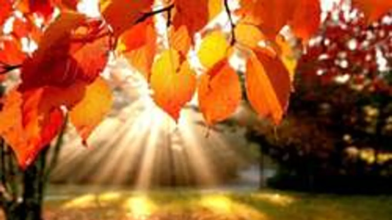 Meghökkentő lesz a szeptemberi időjárás, erre senki sem számított