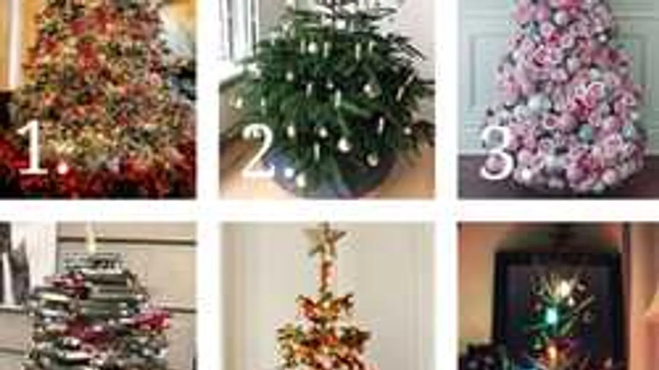 2018 legizgalmasabb személyiségtesztje: ezt árulja el rólad a karácsonyfád!