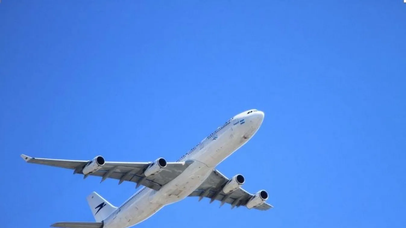 Olyan dolgot művelt a cicájával a nő a repülőn, hogy sokkot kapott a személyzet