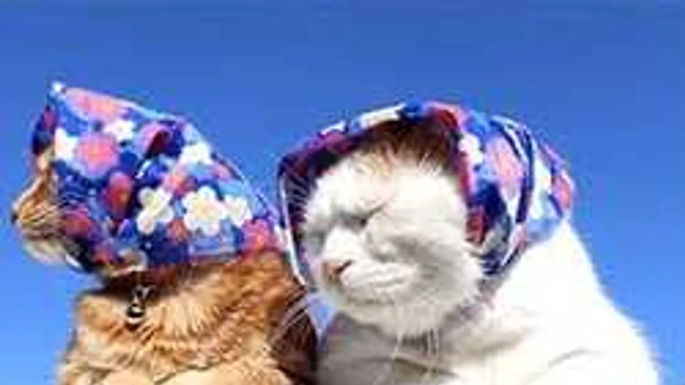 Kánikula tör be az országba, de valahol a hidegfront teszi tönkre az időjárást