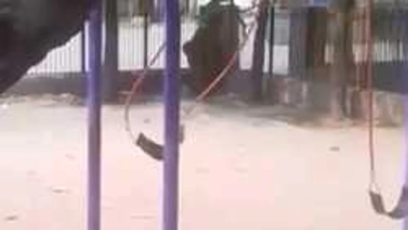 Hátborzongató dolgot videóztak a játszótéren fényes nappal