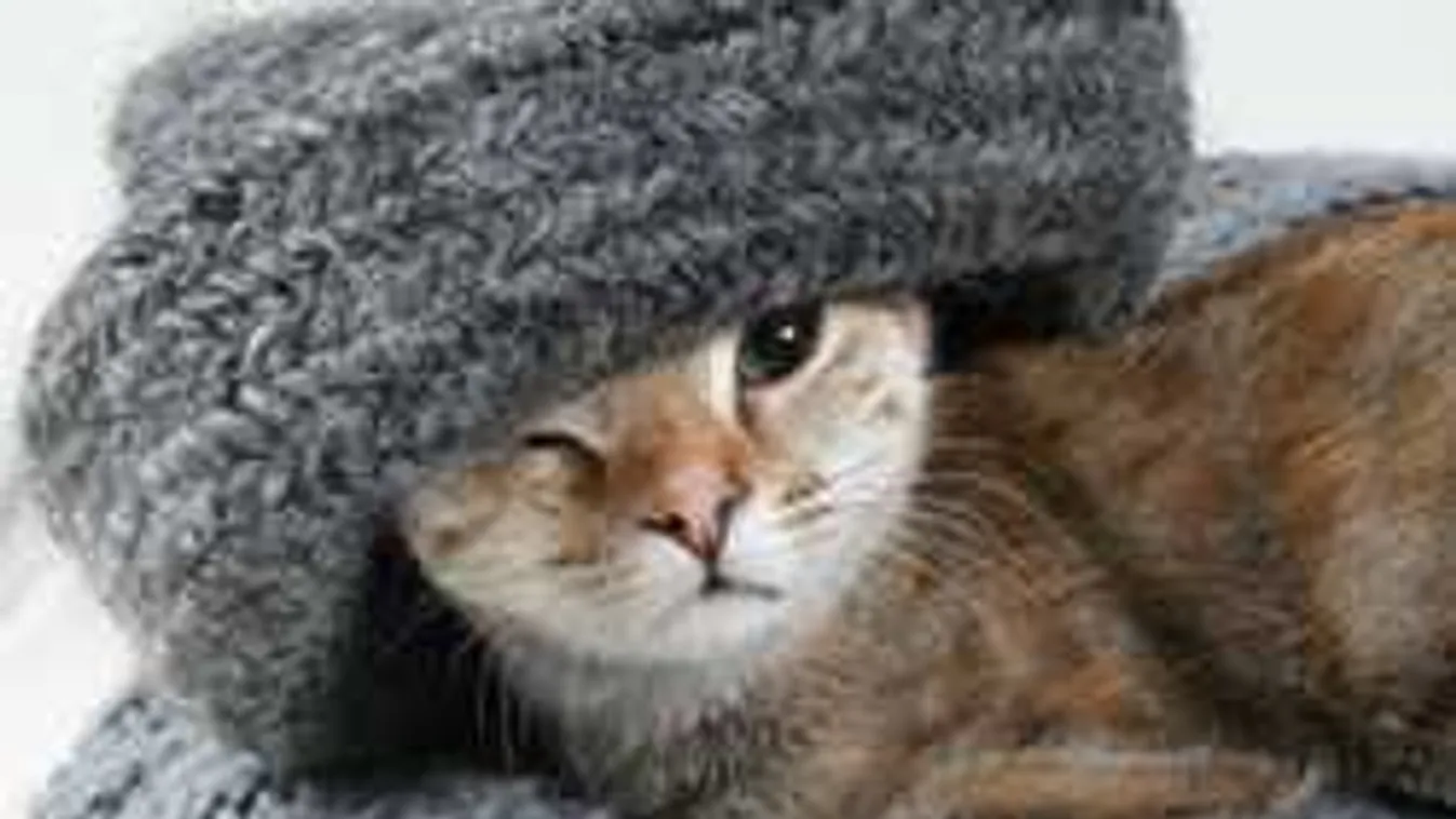 Ezért érzed különösen hidegnek az időt - most igazán beköszönt a tél