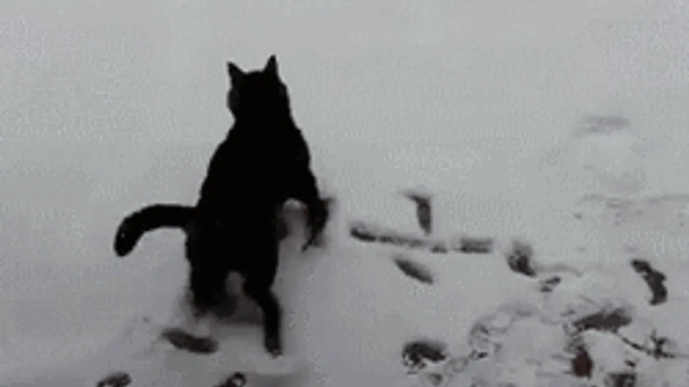 Figyelmeztetnek a meteorológusok: ezeken a tájakon fog esni a hó