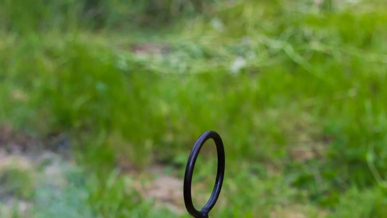 2020-ban ez lesz a kerti partik sztárja: Tárcsás hús az új őrület