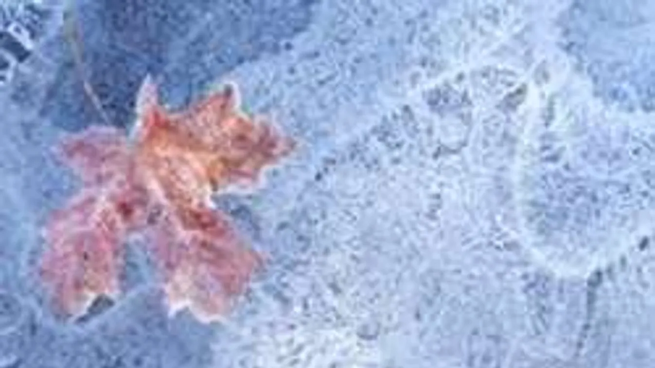 Nem fogsz örülni: Fagyos levegő tart felénk, támadnak a mínuszok