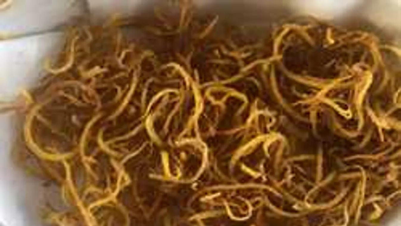 Végre kiderült a ropogós cukkinichips titka: Jobb, mint a szalmakrumpli!