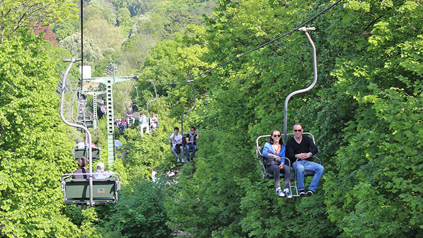 Hihetetlen dolog lesz ma a budai hegyekben
