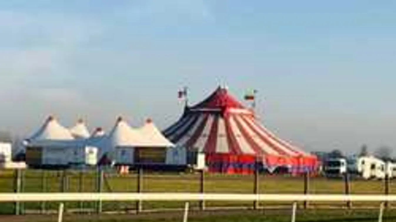 Szörnyű baleset történt a cirkuszban, sokkot kaptak a nézők