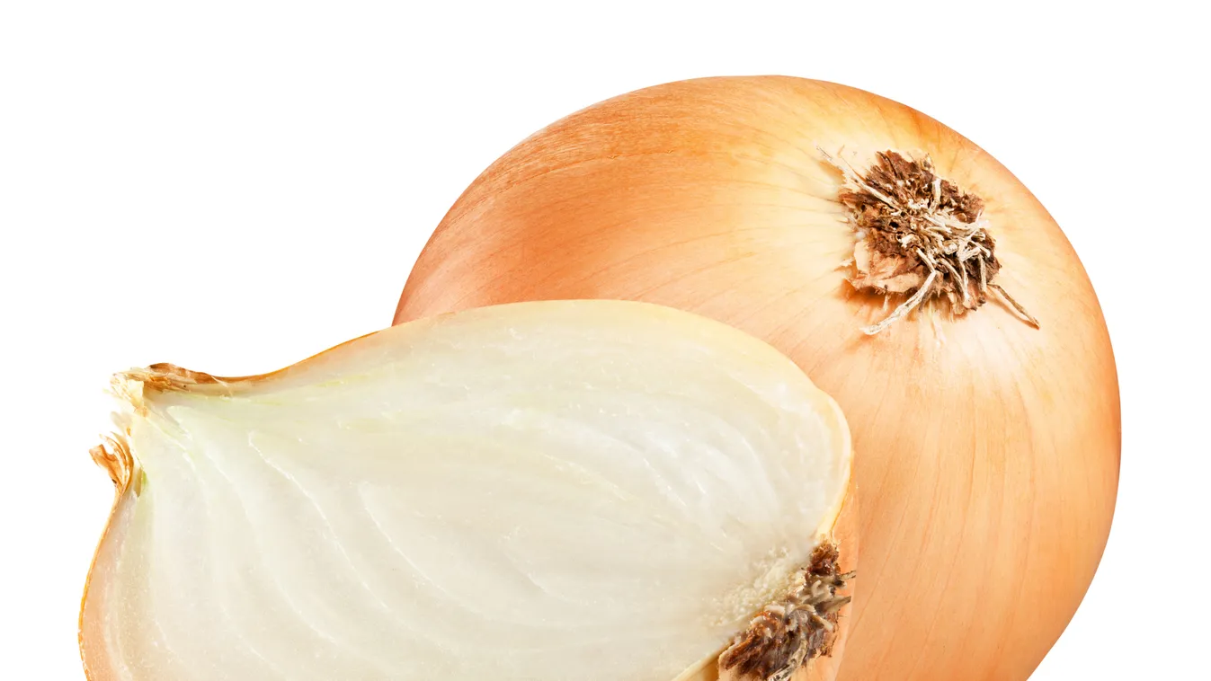 Mit keres a hagyma a tejben?