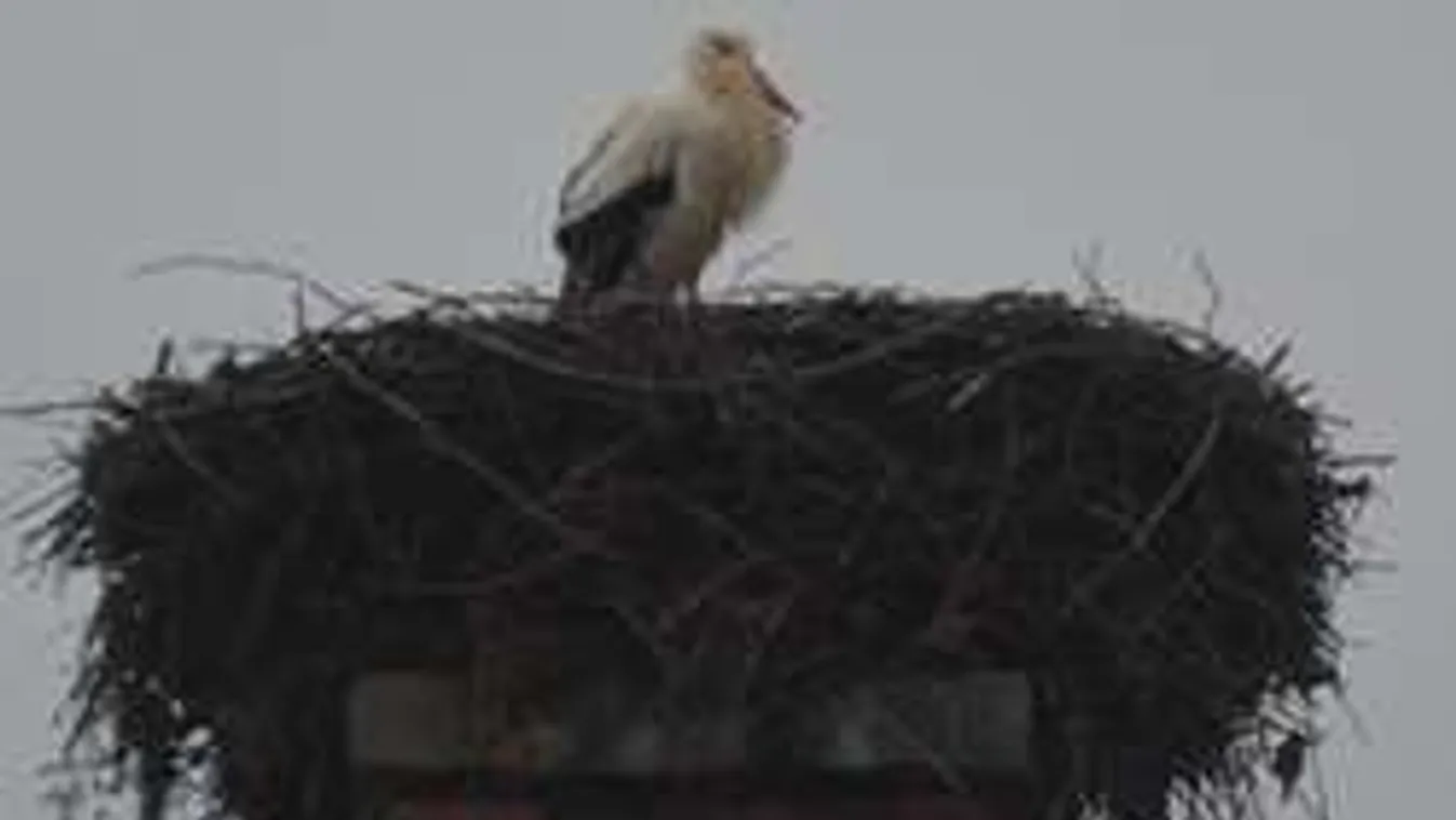 Hoppácska! Mi csücsül Õrhalomban, a kémény tetején?