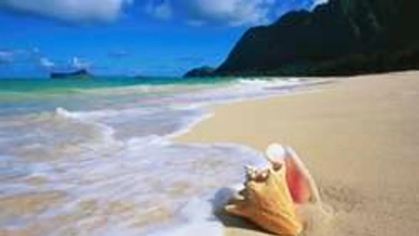 Bikinis nők horrortámadása napozó társuk ellen! - videó