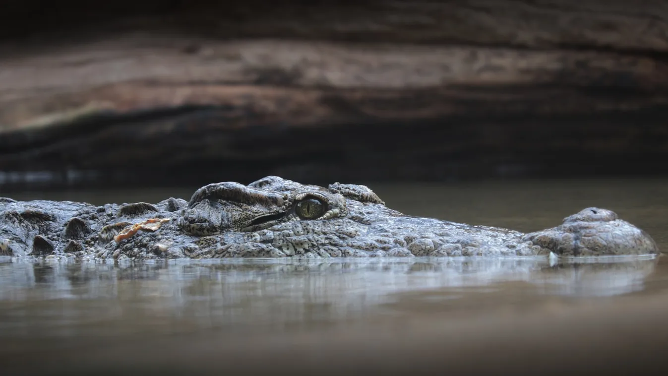 Ez a 10 legextrémebb úti kaland, amitől biztosan kiver a víz