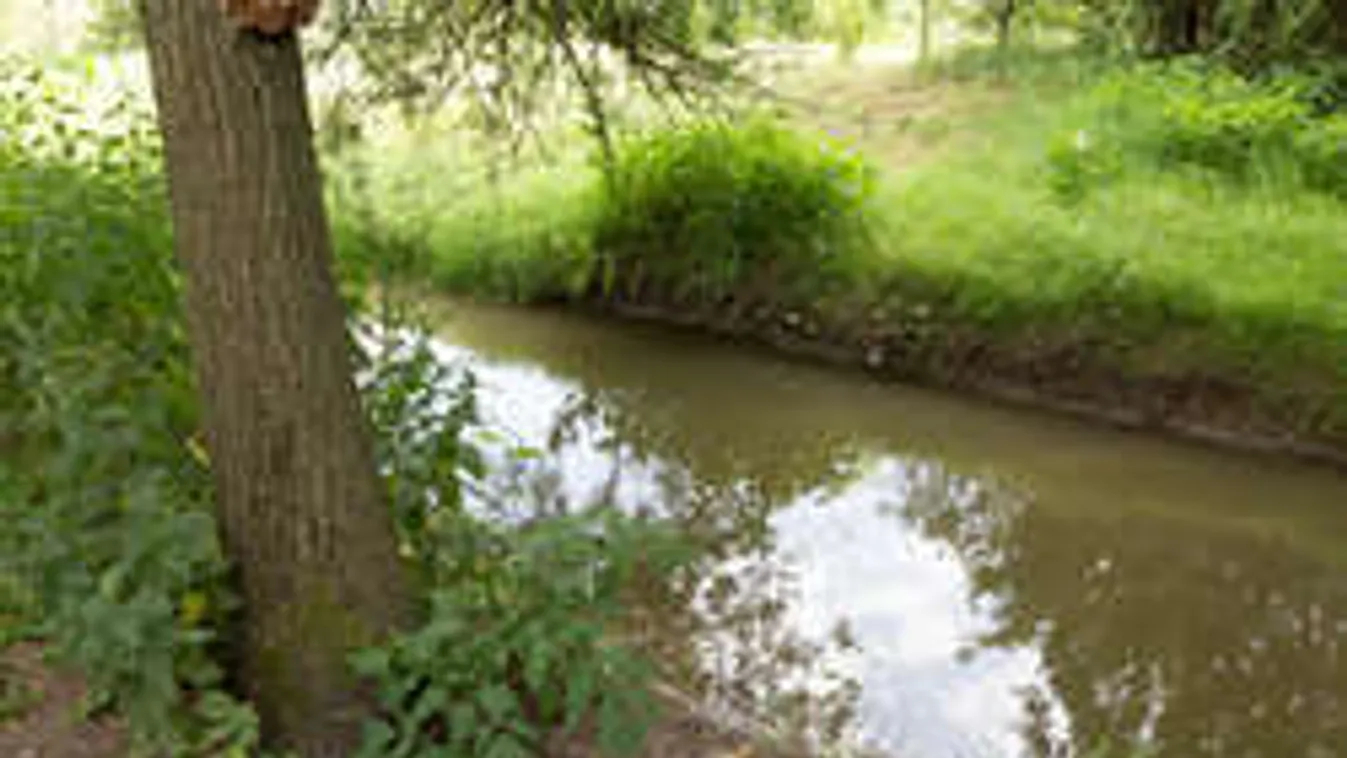 Horgászó asszony fulladt a patakba!