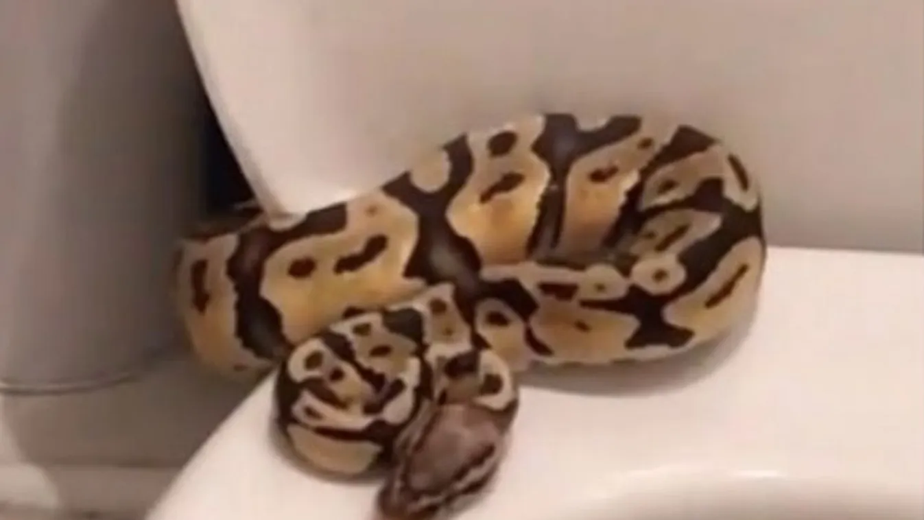 Borzalom a vécében: Megfagyott a vér a népszerű színész ereiben