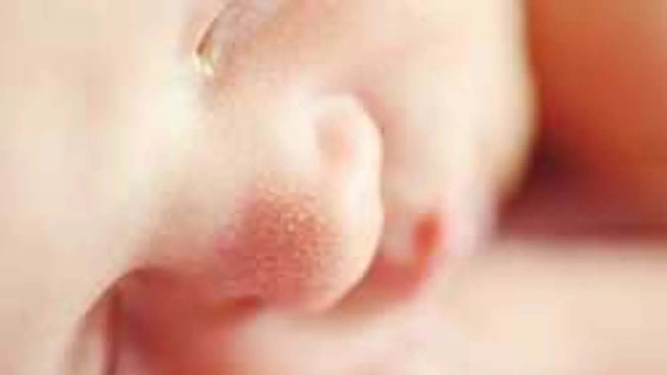 Az étterem vécéjében szült a pincérnő, a babát a kukába dobta